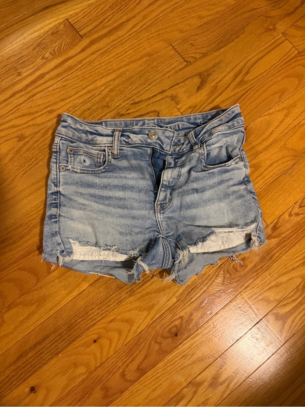 American Eagle Outfitters Light Blue Distressed Denim Embroidered Shorts